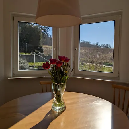 Apartment Im Gruenen Ettlingen