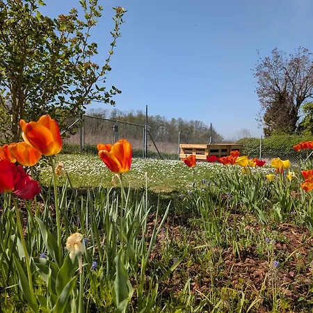 Apartment Im Grünen Ettlingen